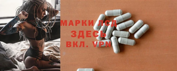бошки Бородино