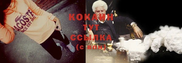 бошки Бородино