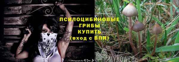 бошки Бородино