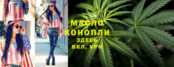 бошки Бородино