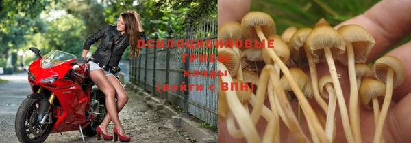 бошки Бородино