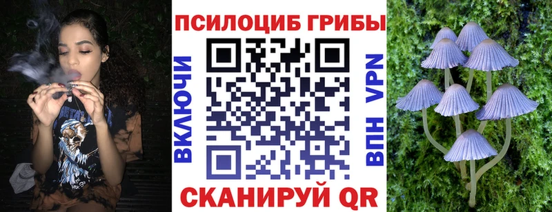 Псилоцибиновые грибы прущие грибы  Горно-Алтайск 